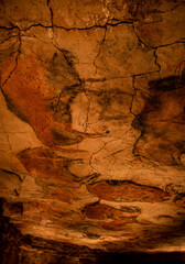 Vertical photo of cave paintings from Altamira, World Heritage Site, Cantabria.