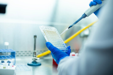cell culture at the medicine, medical and biology laboratory, cancer science experiment at the...