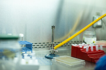 cell culture and microbiology laboratory 