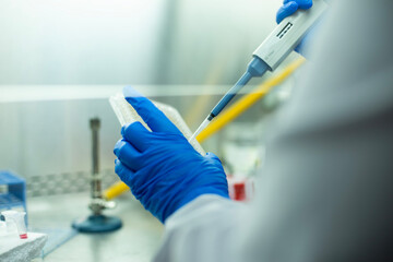 cell culture at the medicine, medical and biology laboratory, cancer science experiment at the...