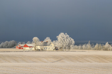 Idyllic winter scene from the countryside in Norway - 647419902