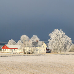 Idyllic winter scene from the countryside in Norway - 647419919