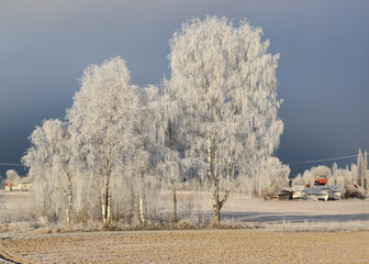 Idyllic winter scene from the countryside in Norway - 647419922