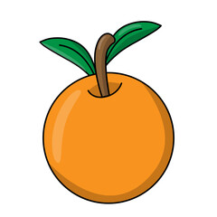 grape fruits illustration