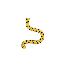 Obraz premium Tiger Tail Vector Illustration 