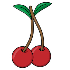 cherry fruits illustration