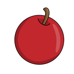 Apple fruits illustration
