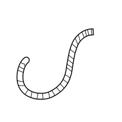 Tiger Tail Outline Vector Illustration 