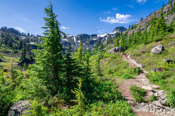 Adventurous athletic male hikers, hiking along a trail with the sun shinning and rugged mountains in the background in the Pacific Northwest.
