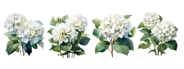 Fotobehang Hydrangea flower set.Generative AI technology. © Екатерина Якубович