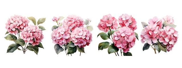 Obraz premium Hydrangea flower set.Generative AI technology.