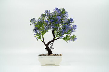 Purple artificial miniature bonsai trees isolated on white background