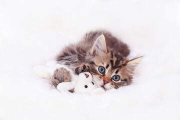 Cat lies and plays with a toy Bunny. Baby Kitten rests on white fur and looking at the camera. Tiny...