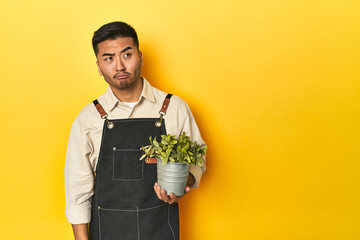 Asian gardener man holding a plant, yellow studio backdrop confused, feels doubtful and unsure.