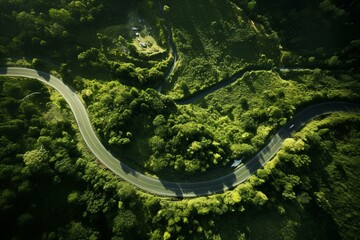 Bird's-eye view of vehicle navigating winding path during sunny season. Generative AI