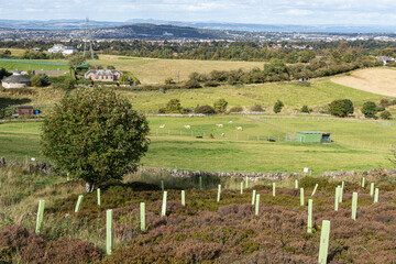 Village life: Countryside in Scotland view, Bonaly, Edinburgh