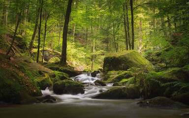 Langzeitbelichtung eines kleinen Wasserfalls im Wald