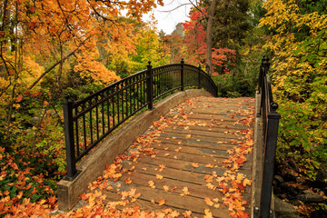 Autumn Walkway Bridge Showing Beautiful Autumn Color - 647439916