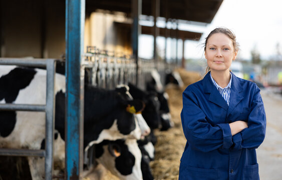 Female farmer engaged in breeding of cows posing in cowshed