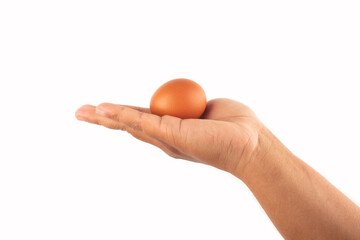 photo of egg on palm isolated on white background