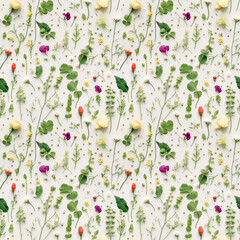 wild flower seamless pattern. summer meadow flowers on white background. sweet pea - 647443108