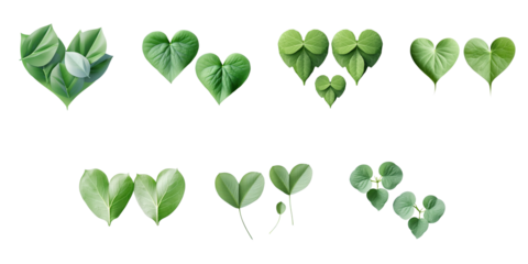 Png Set Valentine s Day card green leaf heart pair symbolizes love transparent background