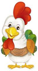 Cartoon funny farm bird chicken rooster isolated illustration for children