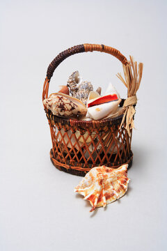 Studio Shot Of A Basket Of Shells