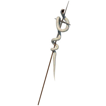snake on a spear