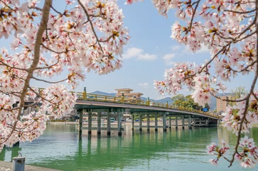 Deurstickers 桜と瀬田の唐橋 © peia