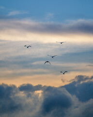 夕暮れの涸沼のソラ