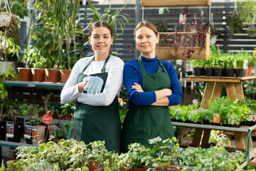 Two female gardeners standing among potted plants in container garden