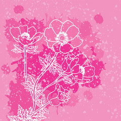 White linear illustration of anemone flowers with pink spots and dots. Month of Pink October. Vectors isolated on pink background.