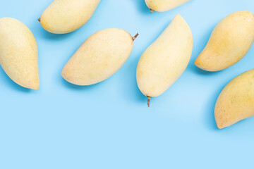 Tropical fruit, Mango on blue background.