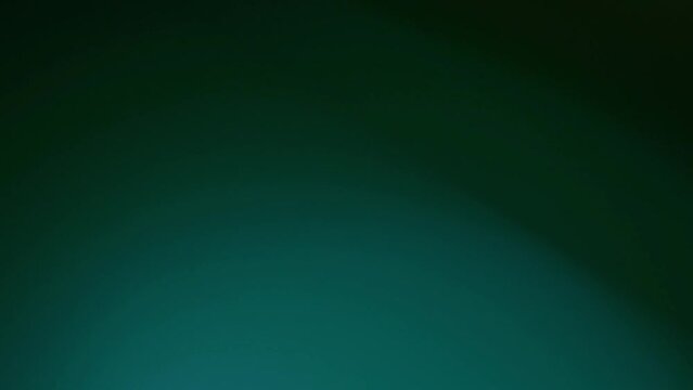 ライトリーク Light Leaks フィルムバーン Film Burn	
