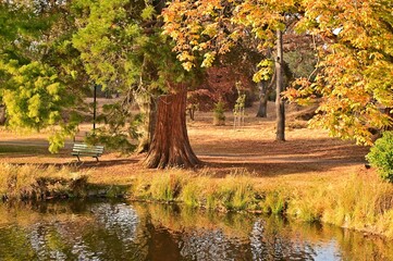 Beautiful autumn scenery at Beacon Hill Park, Victoria, Vancouver Island, British Columbia, Canada
