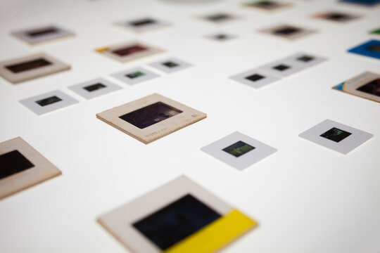 slides placed on light table