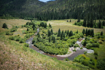 Fototapeta na wymiar View looking down on Bear Creek in southern Colorado near Rico and Telluride through grassy meadows in summer on beautiful blue sky day