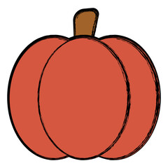 pumpkin isolated on white