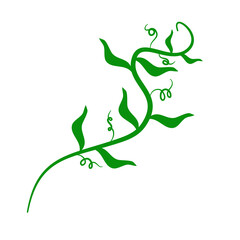 Green Vines Decoration