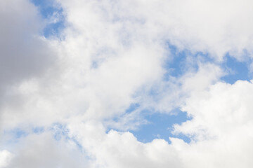 Fototapeta premium White and grey clouds and blue sky