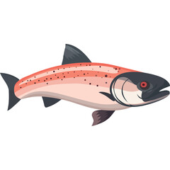 red seatrout fish animal spice