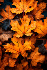 Naklejka na ściany i meble Vertical image of dry tree leaves, orange, in autumn, on the ground, generative