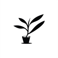 potted plant logo design, ornamental plants, hotel gardens, silhouettes of potted plants