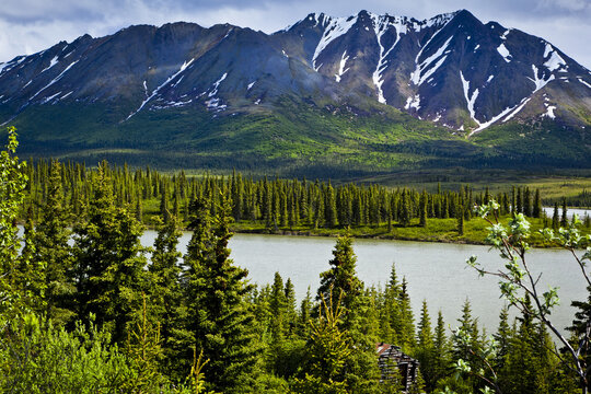 Scenic View Of An Old Log Cabin Along The Nenana River With The Alaska Range In The Background, Denali Highway, Southcentral Alaska, Summer