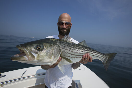 Fisherman Holding A Large Striper Fish, Boston Harbour; Boston, Massachusetts, United States Of America