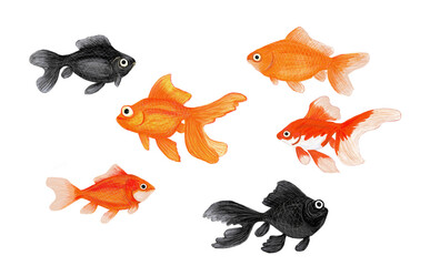 金魚のイラスト