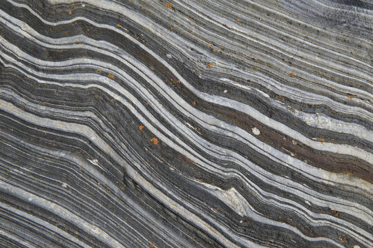 Beautiful Patterns In A Piece Of Quartz Along The Lapie River; Yukon, Canada