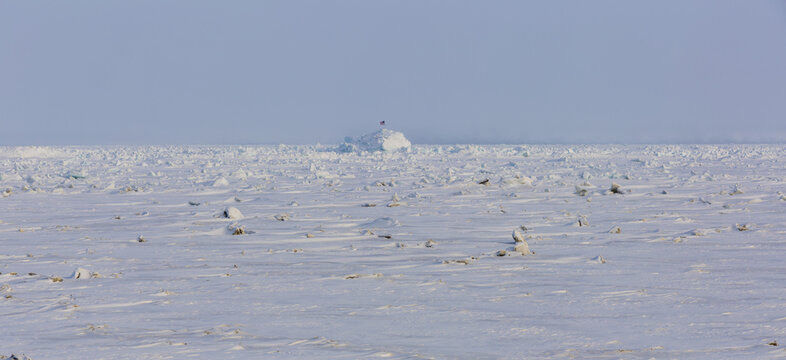 Panorama View Of Frozen Sea Ice With An Igloo In The Background, Barrow, North Slope, Arctic Alaska, Winter