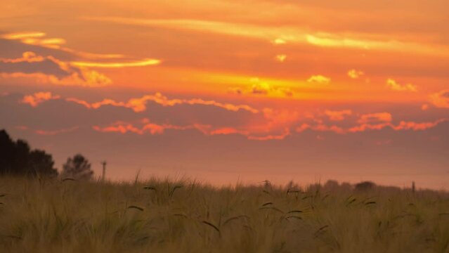 Gorgeous Sunset or sunrise sky at the horizon in the rural countryside. vibrant sky atmosphere above ribe wheat field mountains background.  Cloudscape timelapse natural landscape 4k b-roll footage.